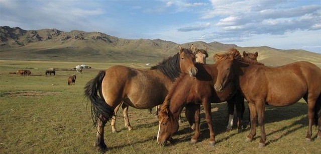 Un peu d'histoire de la Mongolie