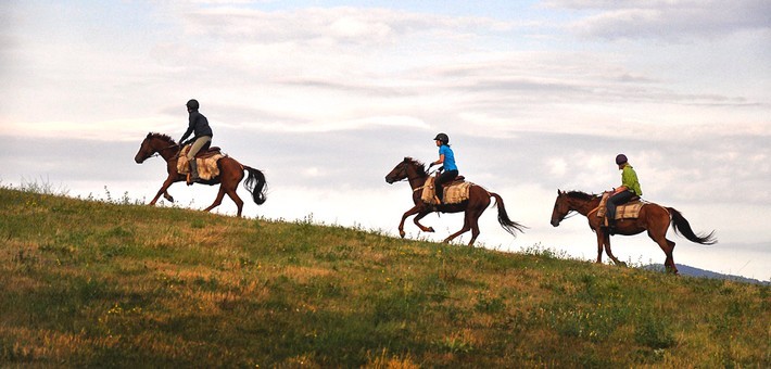 Tourisme nature en Bulgarie & chevaux bulgares