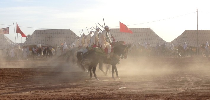 Le cheval barbe arabe et les Fantasias