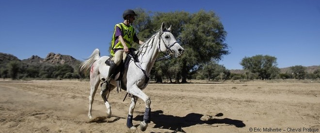 Sellerie et équipement pour l'endurance équestre