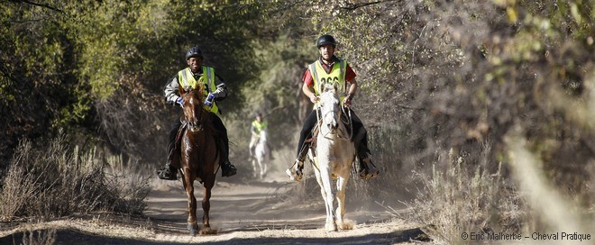 Règles et apprentissage de l'endurance équestre