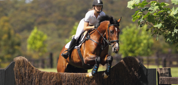 Concours Complet d’Équitation (CCE)