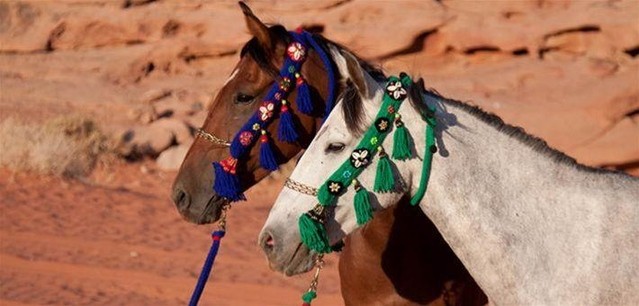 Rester connecté en Jordanie