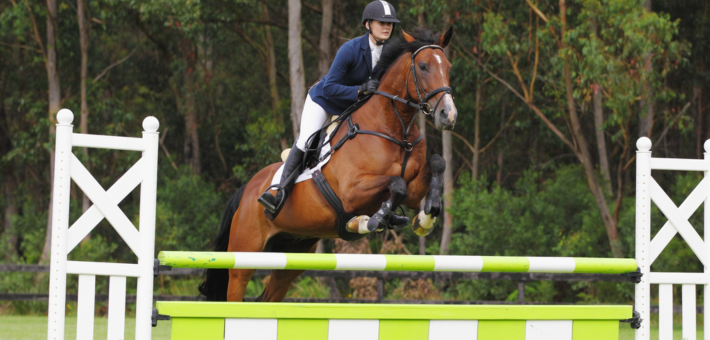 Saut d’obstacles (CSO)