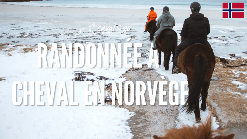 [Vidéo] Randonnée à cheval dans les îles Lofoten en Norvège