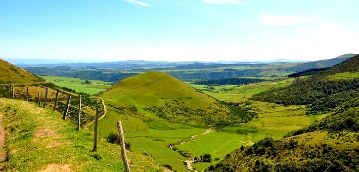 Le cheval d'Auvergne aujourd'hui 