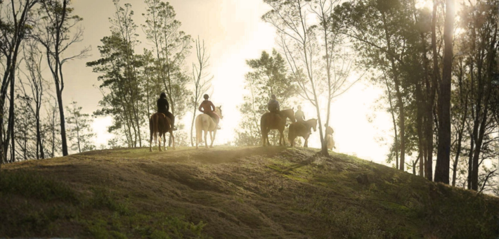 Quand partir sur l'île de la Réunion pour une randonnée à cheval ?