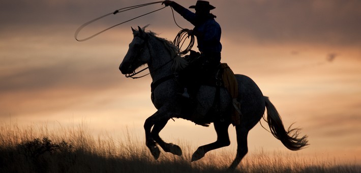 L'Equitation Western