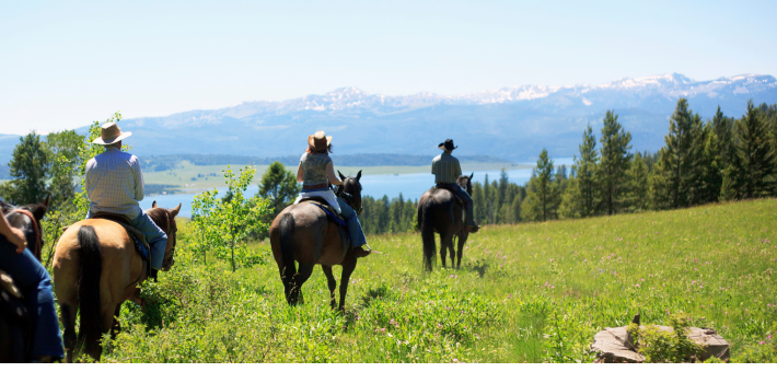 Randonnée / TREC / Endurance