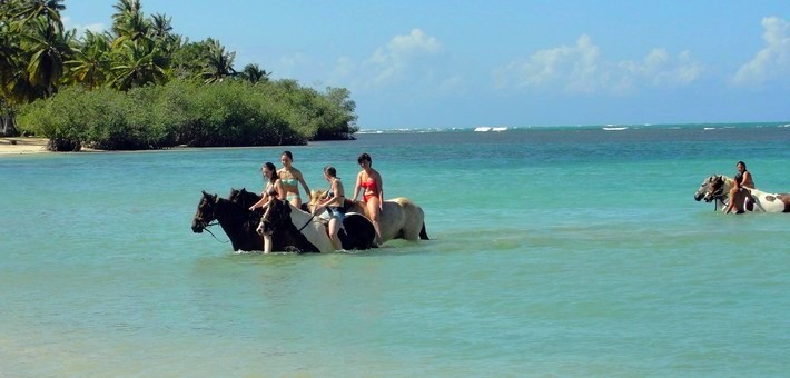 Où et quand se baigner avec son cheval ? Où et quand se baigner avec son cheval ?