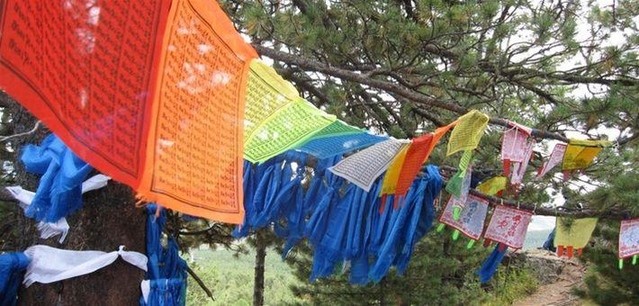 Rester connecté en Mongolie