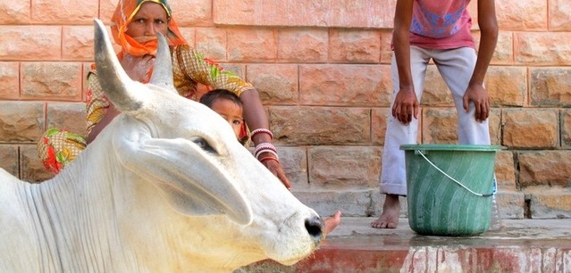 Rester connecté en Inde