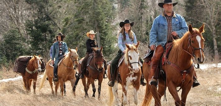 Choisir un cheval pour randonnée : une vraie question 