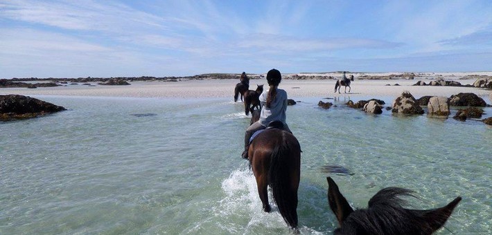 Equipements et accessoires pour une rando à cheval en Europe 