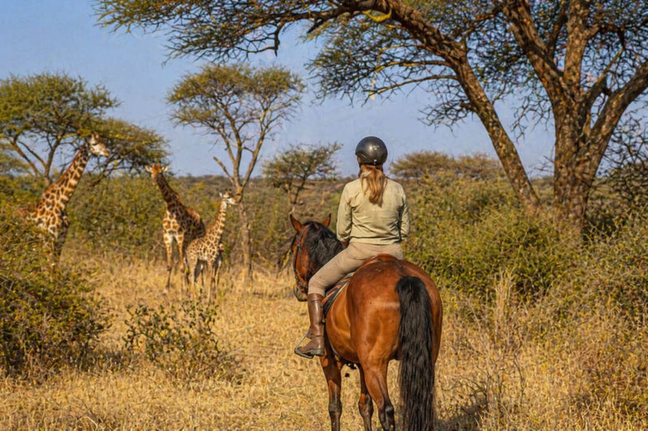 Budget : lequel est le moins cher ?