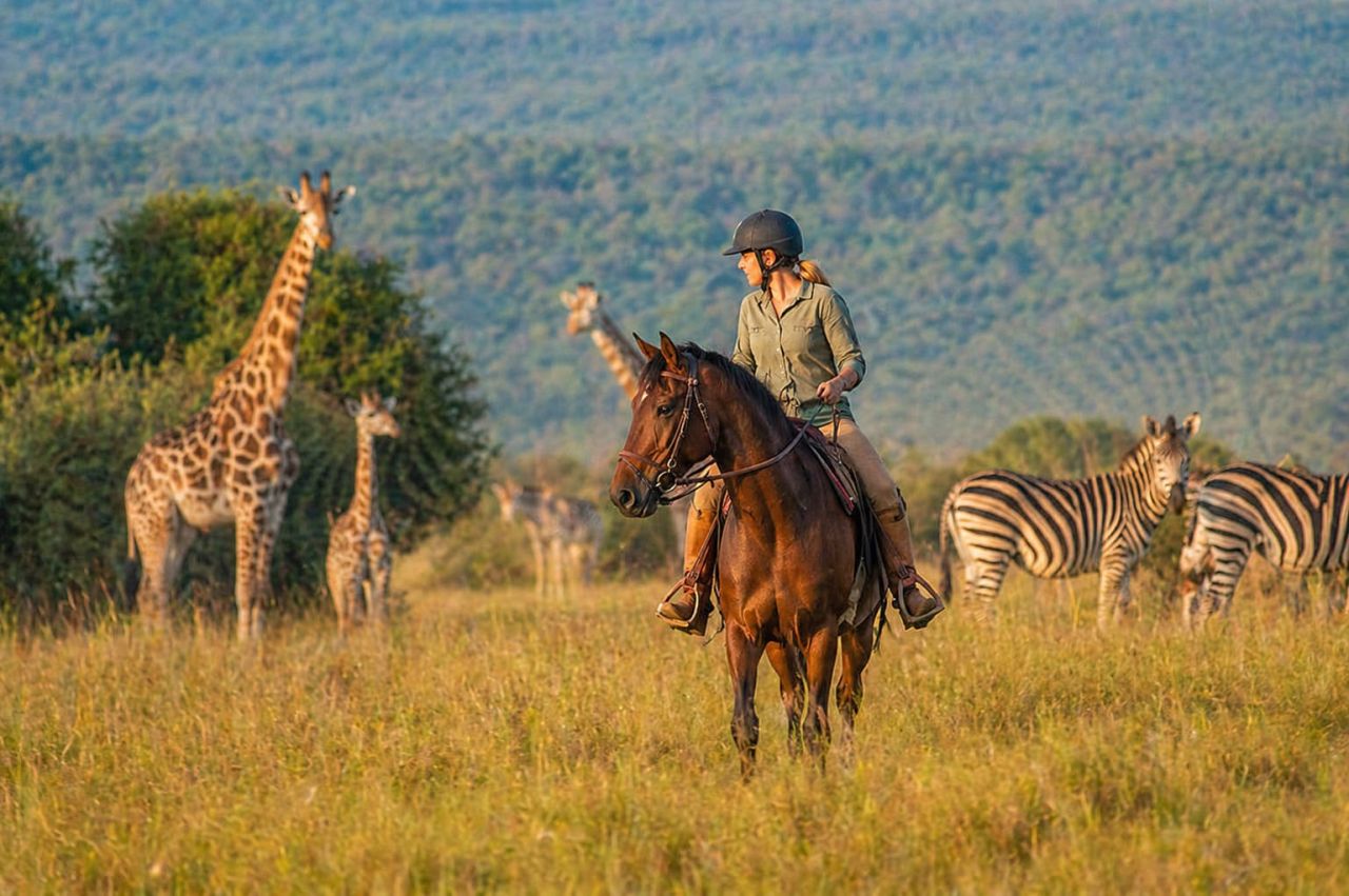 Quelle destination pour quel profil ?