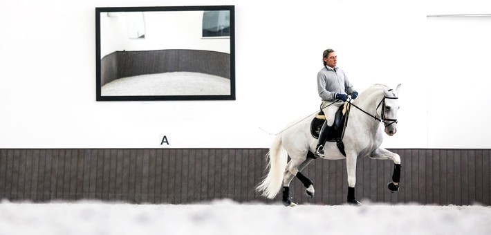 La Haute École et le dressage équestre La Haute École et le dressage équestre
