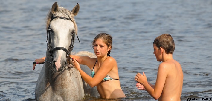 Comment nager avec son cheval en toute sécurité ?
