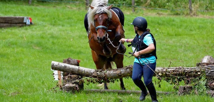 Les règles et les 4 épreuves de TREC en équitation