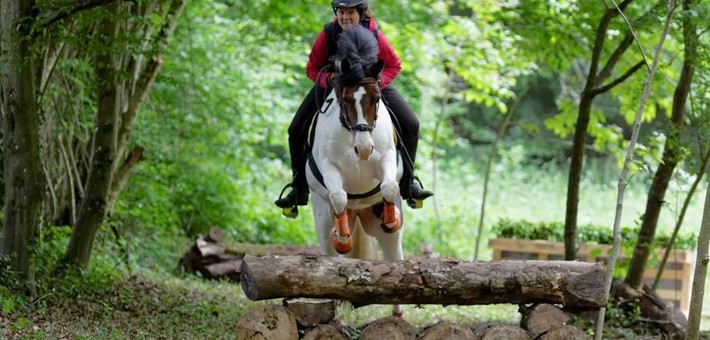  Présentation du TREC en équitation