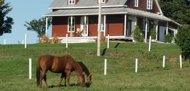 Quand partir au Canada pour une randonnée à cheval ?