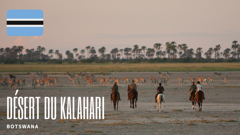 [Video] Rando à cheval dans le désert du Kalahari au Botswana