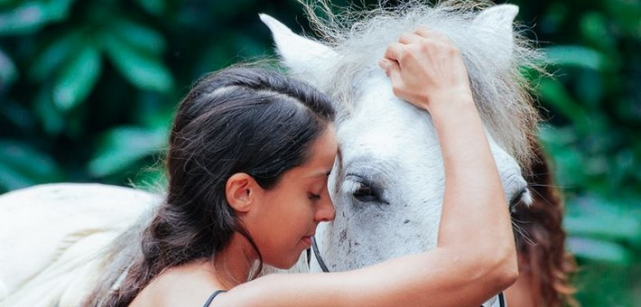 L'éthologie animale L'éthologie animale