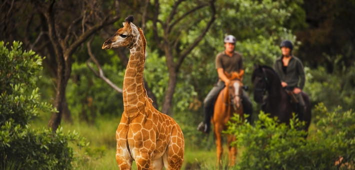 Guide voyage Afrique du Sud