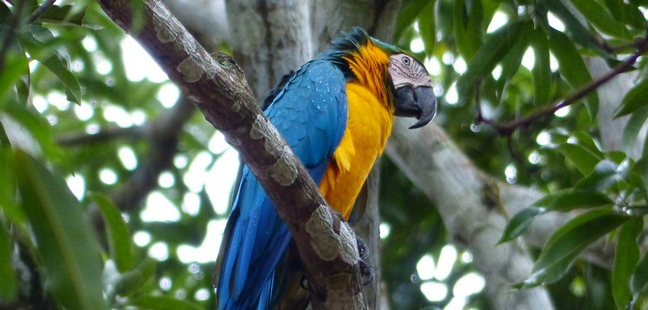Guide voyage Costa Rica