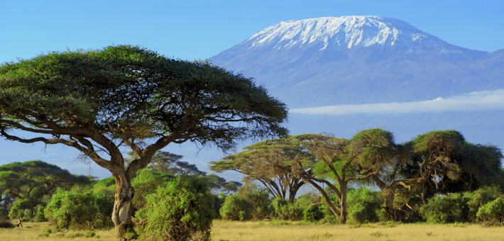 Guide voyage Kenya
