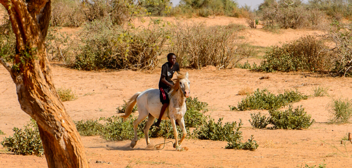 Guide voyage Sénégal