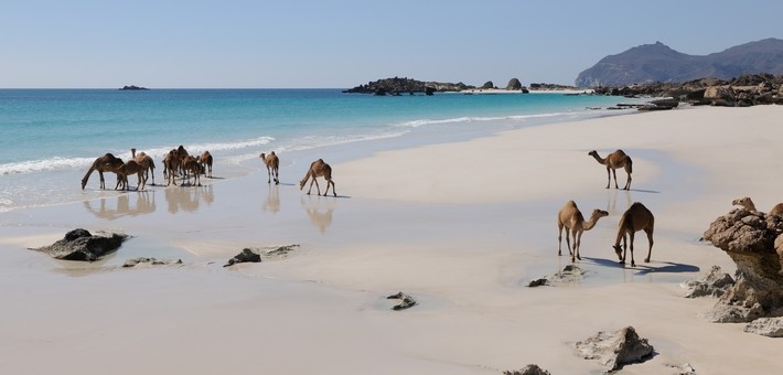 Guide voyage Oman