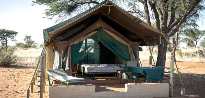 Camp de brousse du Kalahari 