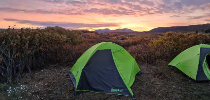 Bivouac en pleine nature avec les chevaux dans le Yukon