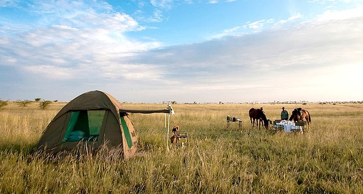 Campement mobile Kalahari