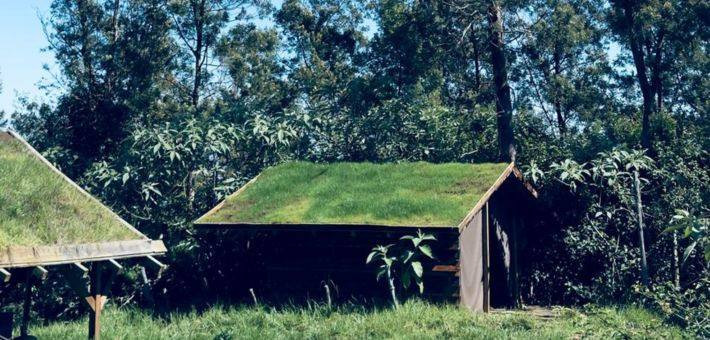 Ecolodge au cœur de la nature à La Réunion