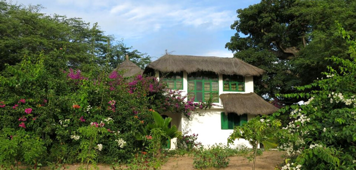 Cases Parc Sénégal