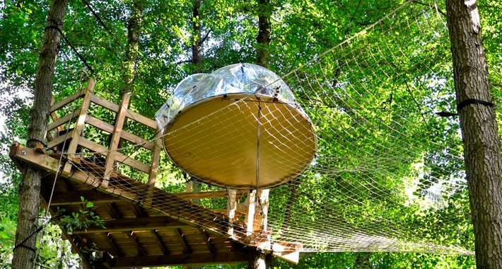 Bulle dans les arbres à Fontainebleau