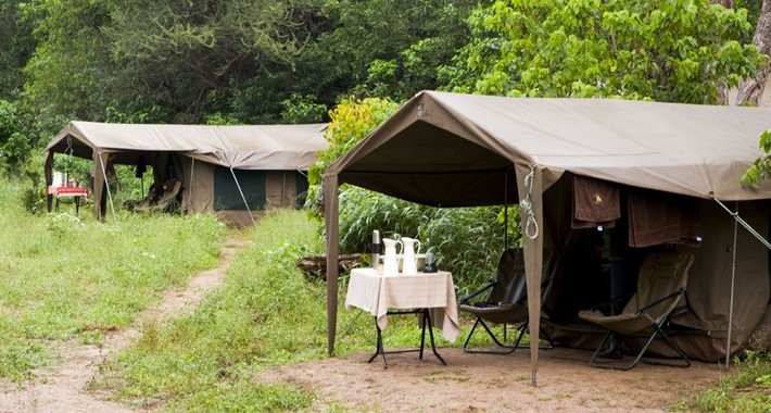Camp de brousse au Botswana