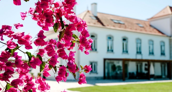 Quinta confort au Portugal