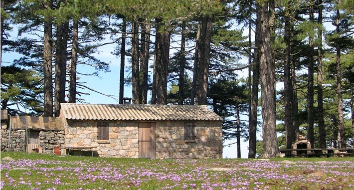 Auberge et bergeries en Corse