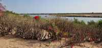 Randonnée itinérante dans la région du Sine Saloum - Caval&go