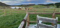 À la conquête du Far West : séjour en immersion chez les cow-boys du Wyoming - Caval&go