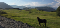 Guest House Omalo - Caval&go 