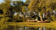 Campement Delta de l'Okavango au Botswana