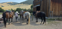 Ranch familial en plein cœur du Montana - Caval&go