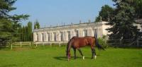 Haras de chevaux près de Fontainebleau - Caval&go