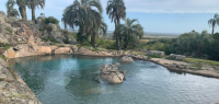 Immersion chez les gauchos, tri de bétail et randonnée à cheval sur la côte sauvage uruguayenne - Caval&go