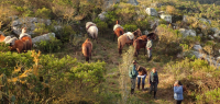 Caval&go - Bivouac en autonomie