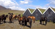 Refuge en Islande